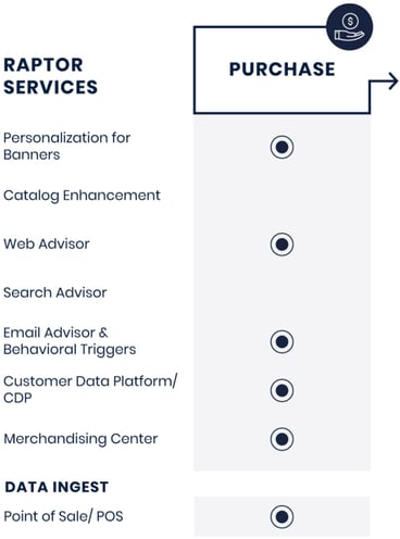 customer-journey-raptor-purchase-600x807-1