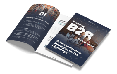 b2b-guide-thumb.png_width=400&height=255&name=b2b-guide-thumb